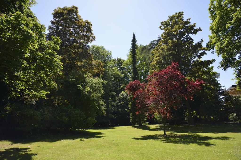 Le Chateau D'Hermonville B&B / Chambres D'Hotes Экстерьер фото